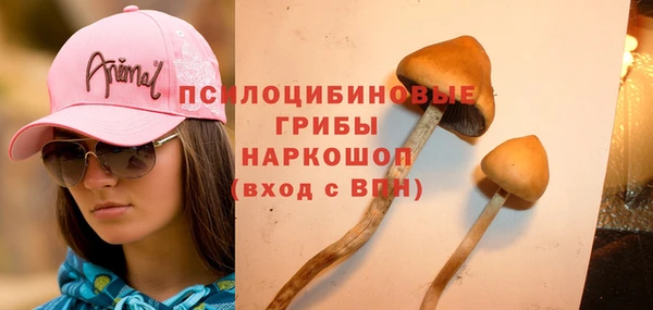 2c-b Алзамай
