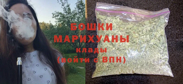 ALPHA PVP Няндома