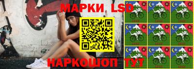 шишки Апшеронск