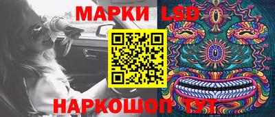 шишки Апшеронск