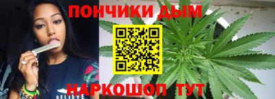 шишки Апшеронск