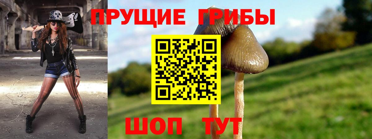 Галлюциногенные грибы прущие грибы  продажа наркотиков  Кудымкар  Вход с VPN  Псилоцибиновые грибы мухоморы 