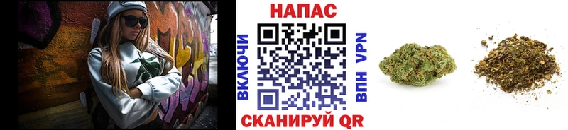 Бошки марихуана марихуана  OMG ссылки  Кудымкар  купить  